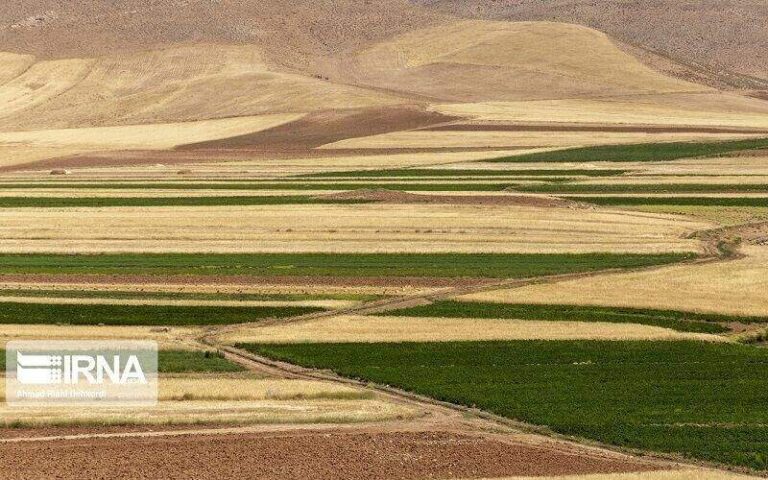 n00111390-b