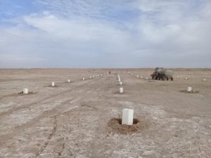 کلید خوردن طرح ۵۲ هزار هکتاری مهار گرد و غبار در سراجه قم