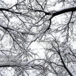 تعطیلی نوبت صبح مدارس سلفچگان، خلجستان و قاهان در روز شنبه ۲۹ آذرماه