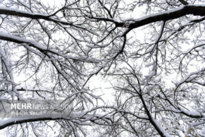 تعطیلی نوبت صبح مدارس سلفچگان، خلجستان و قاهان در روز شنبه ۲۹ آذرماه