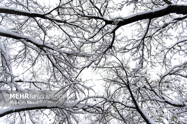 تعطیلی نوبت صبح مدارس سلفچگان، خلجستان و قاهان در روز شنبه ۲۹ آذرماه