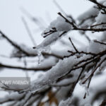 تمامی مدارس شهرستان کهک شنبه غیرحضوری شد