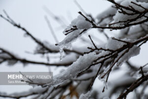 تمامی مدارس شهرستان کهک شنبه غیرحضوری شد