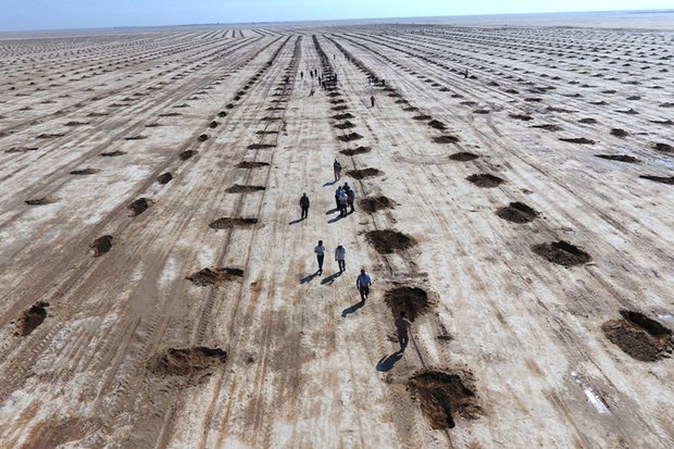 مشارکت ۲۰۰ میلیارد تومانی شرکت ملی نفت در طرح بیابان‌زدایی قم