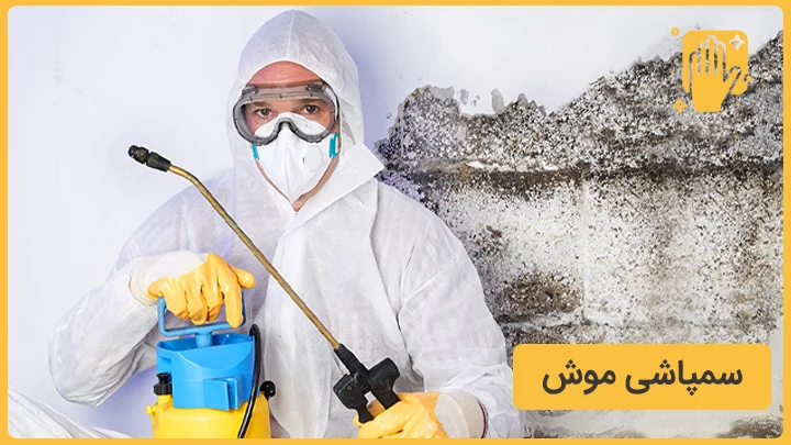 راهنمای تخصصی سمپاشی و ریشه‌کنی دائمی سوسک
