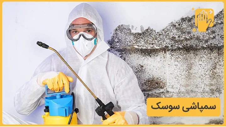 راهنمای تخصصی سمپاشی و ریشه‌کنی دائمی سوسک